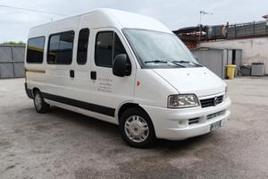 Fiat Ducato 9 posti disabili 