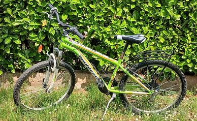 bicicletta