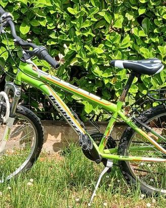 bicicletta