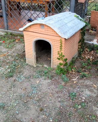 cuccia per cani in cemento 