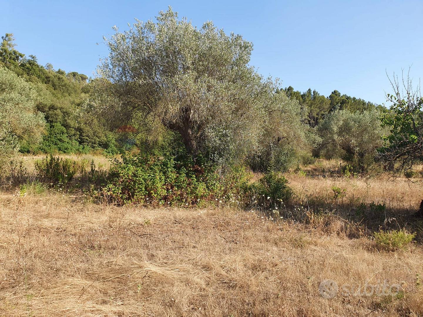 Terreno - Caltagirone - Vista 2