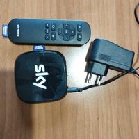 Roku Power ed Sky online