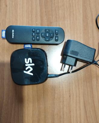 Roku Power ed Sky online