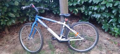 Mountain bike