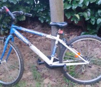 Mountain bike