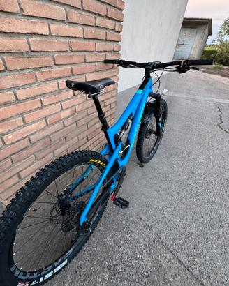 Santa cruz