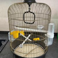 2 GABBIE CANARINI PAPPAGALLO VASC BAGNETTO + CIBO