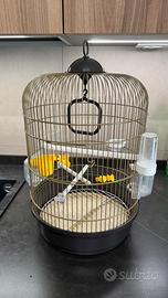 2 GABBIE CANARINI PAPPAGALLO VASCHETTA PER BAGNO