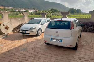 FIAT Punto 4ª serie - 2013