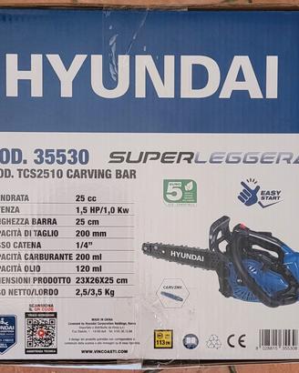 Motosega da potatura Htundai - nuova