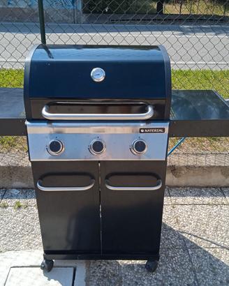 Barbecue a Gas
