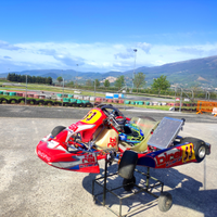 Kart birel R31