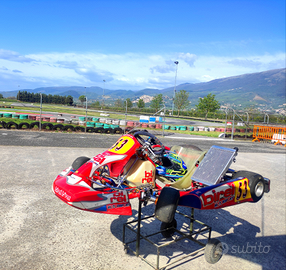 Kart birel R31