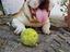 Immagine 1
