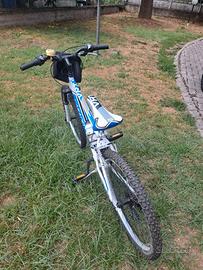 mountain bike Casadei, modello Vertical