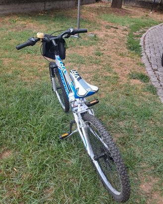 mountain bike Casadei, modello Vertical