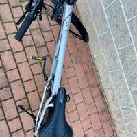 bicicletta citybike