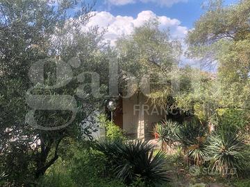 Casa Indipendente Brisighella