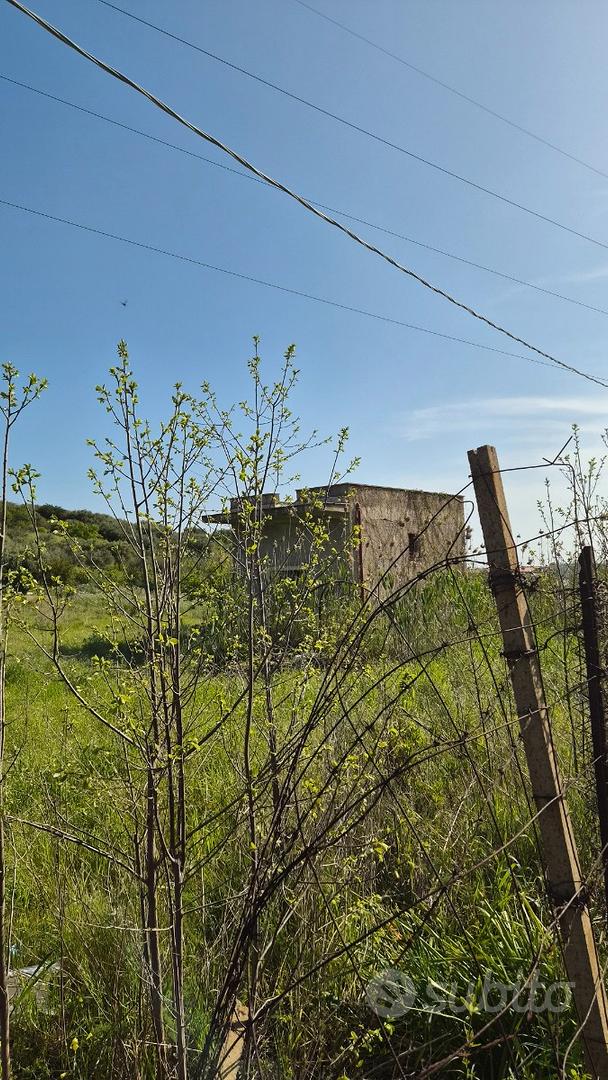 Terreno agricolo Bagheria Ter/72 - Vista 4