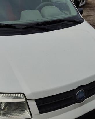 Cofano FIAT PANDA del 2006