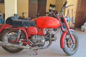 Aermacchi Harley-Davidson 250N