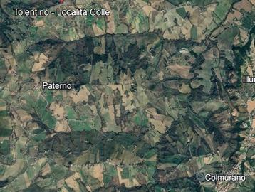 Terreno agricolo - Colmurano - C.da Cottaiani