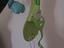 Immagine 4