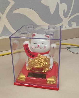 GATTO CINESE FORTUNATO