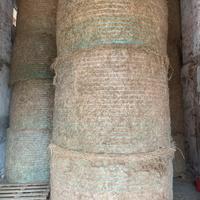 Fieno / erba medica