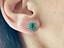 Immagine 9