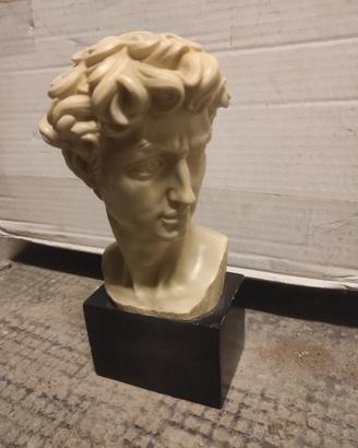 Busto David di Michelangelo 