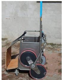 Montascale elettrico per cani con mobilità ridotta