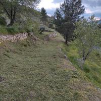 Realizzarsi giardinaggio pulizia potatura giardini