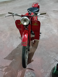 MOTO Guzzi cardellino