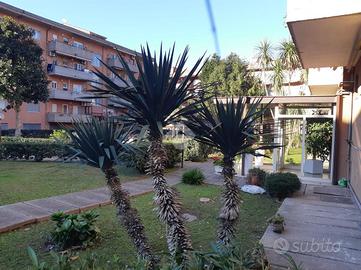 4 LOCALI A NOCERA INFERIORE