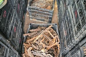 CATENA CATENE KIT TRASMISSIONI VARIE MOTO DID REGI