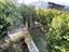 Immagine 27
