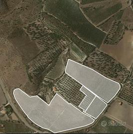 Terreno Azienda Agricola Sorso