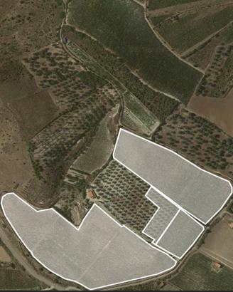 Terreno Azienda Agricola Sorso