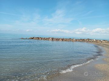 dal 13 agosto a 330 euro a settimana Animali ok 