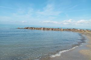 dal 13 agosto a 330 euro a settimana Animali ok 