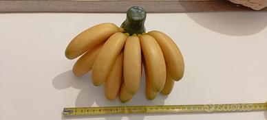 Banane artificiale finto alta qualità