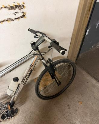 Bici ragazzo / uomo