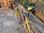 Immagine 3