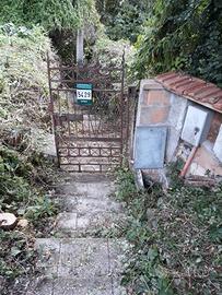 Rudere con Terreno Agricolo