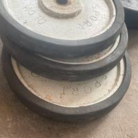 5 dischi Panatta sport da 10 kg
