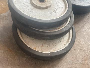 5 dischi Panatta sport da 10 kg