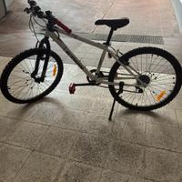 Bici Mountain bike