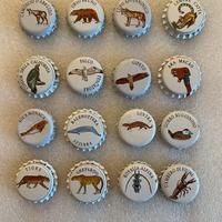 Tappi Valfrutta anni 90 serie WWF