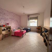 Ampia doppia is mirrionis 300